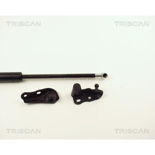 Gasfeder, Koffer-/Laderaum TRISCAN 8710 13264 f&uuml;r TOYOTA, hinten rechts, rechts