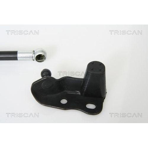 Gasfeder, Koffer-/Laderaum TRISCAN 8710 13265 f&uuml;r TOYOTA, hinten links, links