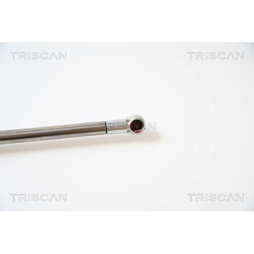 Gasfeder, Koffer-/Laderaum TRISCAN 8710 40224 f&uuml;r HONDA, hinten rechts, rechts