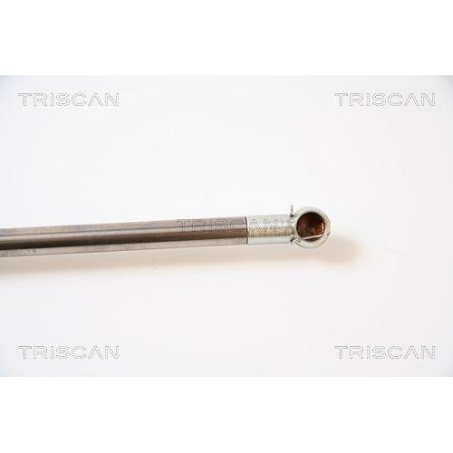 Gasfeder, Koffer-/Laderaum TRISCAN 8710 40225 f&uuml;r HONDA, hinten links, links