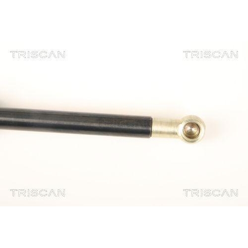 Gasfeder, Koffer-/Laderaum TRISCAN 8710 40231 f&uuml;r HONDA