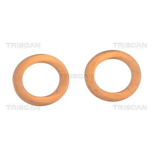 Bremssattel TRISCAN 8175 24209 f&uuml;r OPEL VAUXHALL CHEVROLET, Hinterachse links