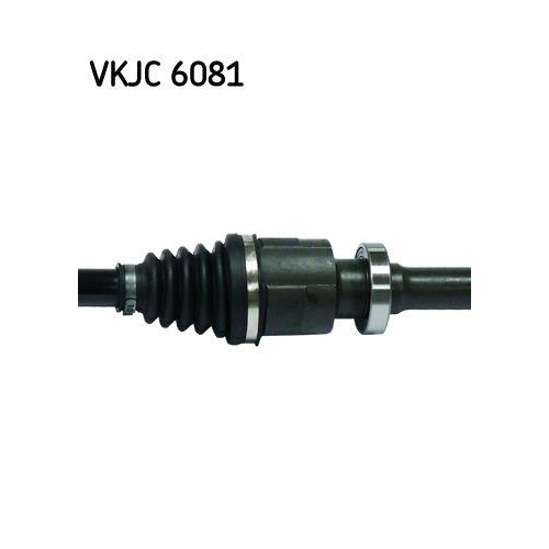 Antriebswelle SKF VKJC 6081 f&uuml;r RENAULT, Vorderachse rechts