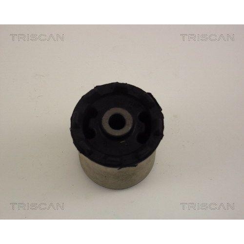 Lagerung, Achsk&ouml;rper TRISCAN 8500 65829 f&uuml;r SAAB, Hinterachse, au&szlig;en
