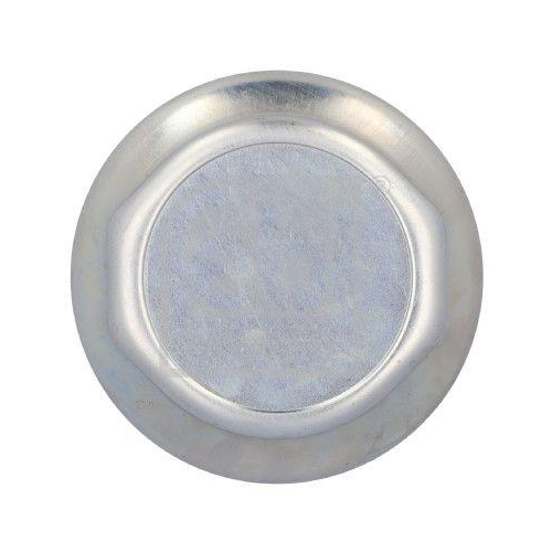 FEBI BILSTEIN Kappe, Radlager 10467 f&uuml;r DAF BPW GIGANT SCHMITZ CARGOBULL