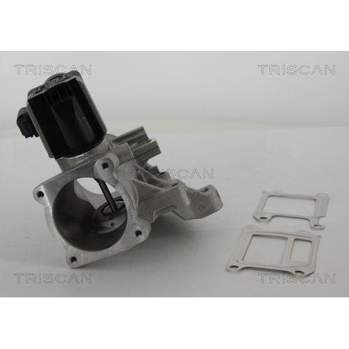 AGR-Ventil TRISCAN 8813 27102 f&uuml;r VOLVO