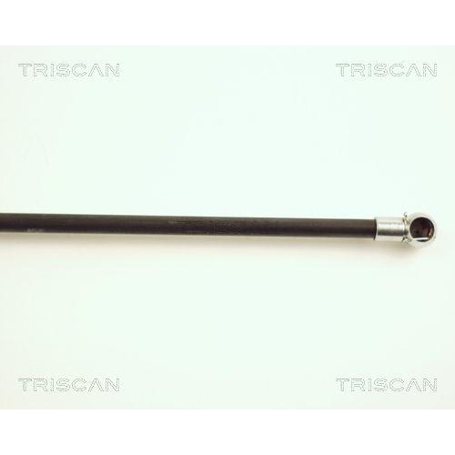Gasfeder, Koffer-/Laderaum TRISCAN 8710 25222 für RENAULT, hinten links