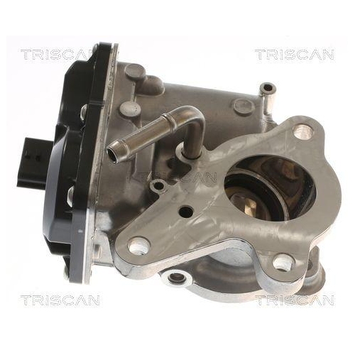 AGR-Ventil TRISCAN 8813 10116 für MERCEDES-BENZ NISSAN OPEL RENAULT VAUXHALL