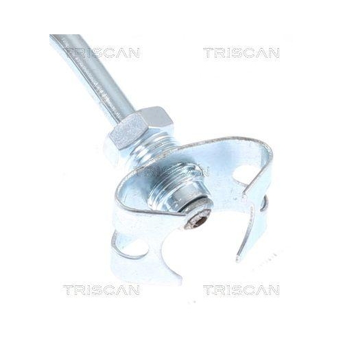 Bremsschlauch TRISCAN 8150 28290 f&uuml;r PEUGEOT, Hinterachse links, au&szlig;en