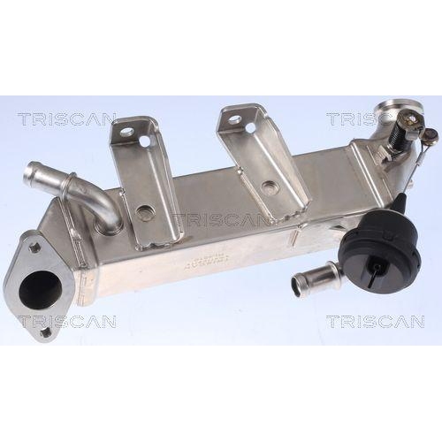 K&uuml;hler, Abgasr&uuml;ckf&uuml;hrung TRISCAN 8813 25104 f&uuml;r OPEL RENAULT VAUXHALL