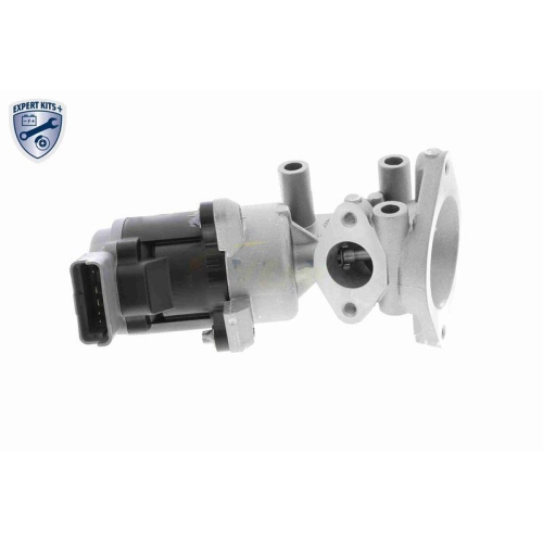 AGR-Ventil VEMO V48-63-0002 EXPERT KITS + f&uuml;r LAND ROVER