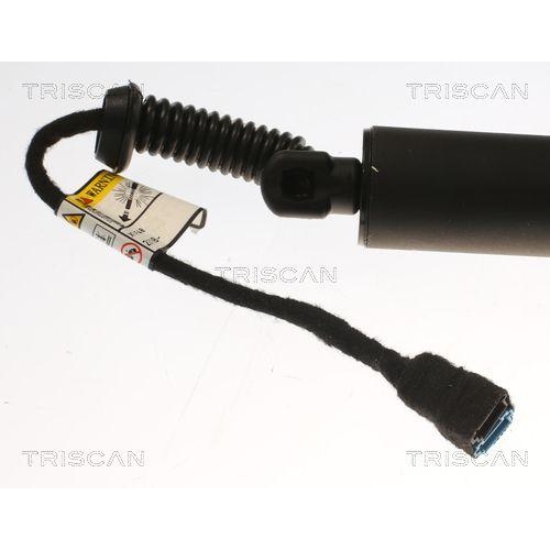 Gasfeder, Koffer-/Laderaum TRISCAN 8710 11358 für BMW, hinten rechts