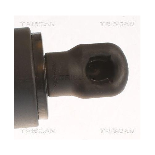 Gasfeder, Koffer-/Laderaum TRISCAN 8710 11359 für BMW, hinten links