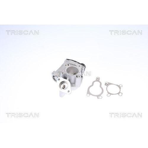 AGR-Ventil TRISCAN 8813 14025 f&uuml;r NISSAN