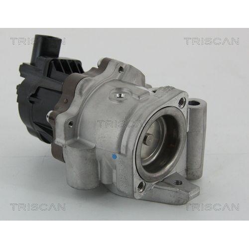 AGR-Ventil TRISCAN 8813 15207 f&uuml;r FIAT IVECO