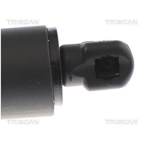 Gasfeder, Koffer-/Laderaum TRISCAN 8710 16305 für FORD