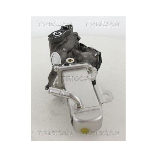 AGR-Ventil TRISCAN 8813 16014 f&uuml;r CITRO&Euml;N FIAT FORD PEUGEOT VOLVO HITACHI