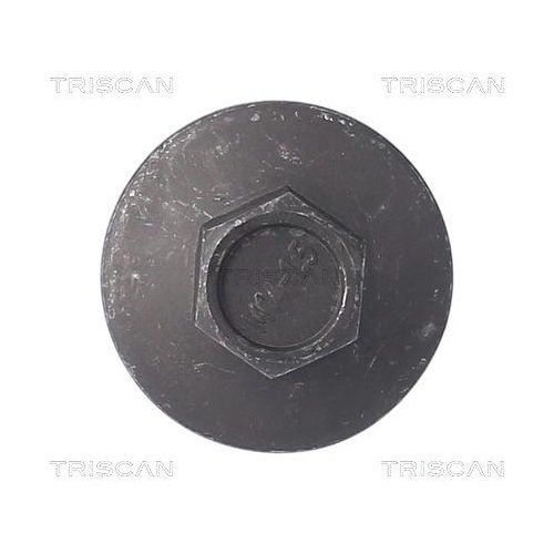 Verschlussschraube, Ölwanne TRISCAN 9500 1009 für CITROËN FIAT FORD JAGUAR ROVER