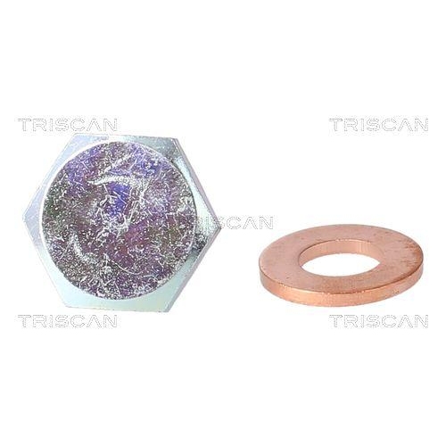 Verschlussschraube, Ölwanne TRISCAN 9500 1010 für BMW CITROËN FIAT FORD MAZDA