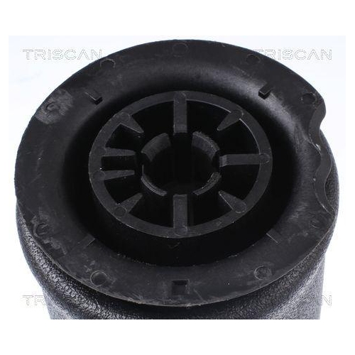 Luftfeder, Fahrwerk TRISCAN 8720 11202 f&uuml;r BMW, Hinterachse beidseitig