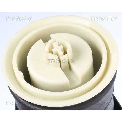 Luftfeder, Fahrwerk TRISCAN 8720 11203 für BMW, Hinterachse beidseitig