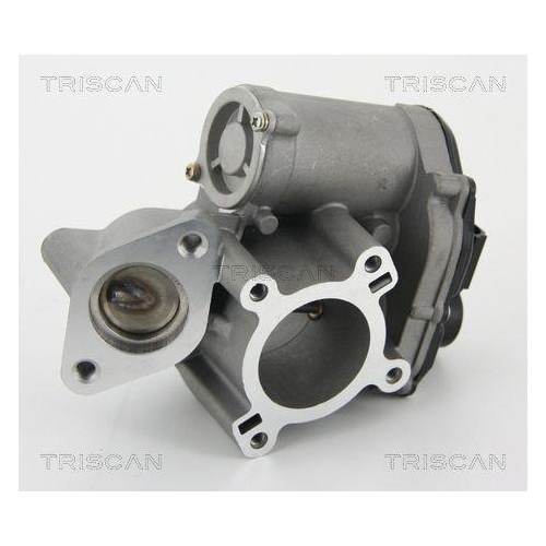 AGR-Ventil TRISCAN 8813 25010 für OPEL RENAULT
