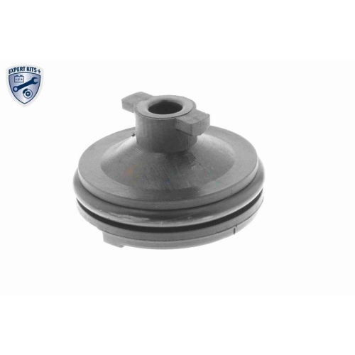 Verschlussschraube, Ölwanne VAICO V25-1116 EXPERT KITS + für CITROËN FORD