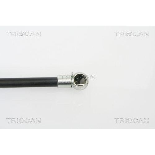 Gasfeder, Koffer-/Laderaum TRISCAN 8710 25228 für RENAULT, hinten links