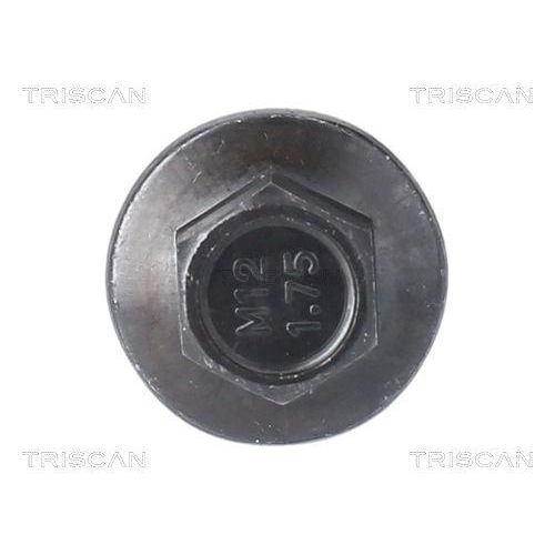 Verschlussschraube, Ölwanne TRISCAN 9500 1016 für ALFA ROMEO FIAT FORD JAGUAR