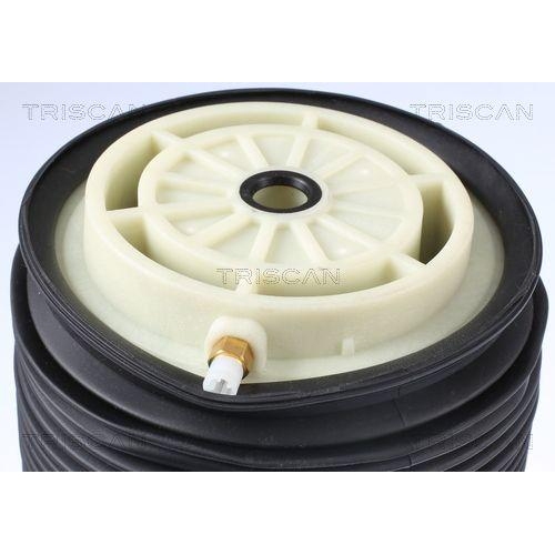 Luftfeder, Fahrwerk TRISCAN 8720 23201 f&uuml;r MERCEDES-BENZ, Hinterachse links