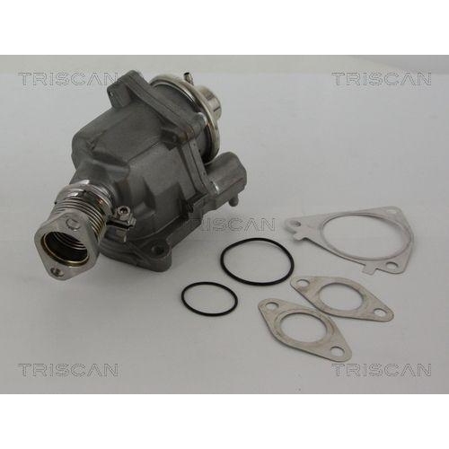 AGR-Ventil TRISCAN 8813 28019 f&uuml;r CITRO&Euml;N FIAT IVECO PEUGEOT