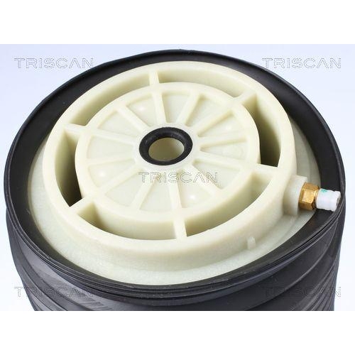 Luftfeder, Fahrwerk TRISCAN 8720 23202 f&uuml;r MERCEDES-BENZ, Hinterachse rechts