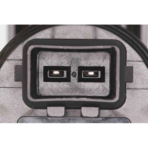 Waschwasserpumpe, Scheibenreinigung VEMO V24-08-0005 Green Mobility Parts für