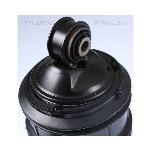 Luftfeder, Fahrwerk TRISCAN 8720 23206 für, Hinterachse rechts