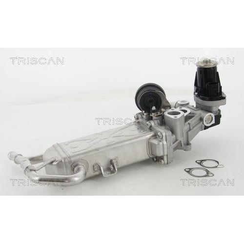AGR-Ventil TRISCAN 8813 29325 f&uuml;r AUDI SEAT SKODA VW HITACHI
