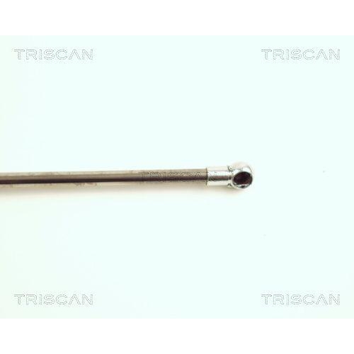 Gasfeder, Koffer-/Laderaum TRISCAN 8710 16217 f&uuml;r FORD, hinten links