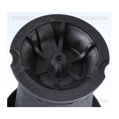 Luftfeder, Fahrwerk TRISCAN 8720 38201 f&uuml;r CITRO&Euml;N, Hinterachse beidseitig