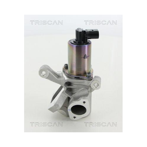AGR-Ventil TRISCAN 8813 44009 f&uuml;r SSANGYONG
