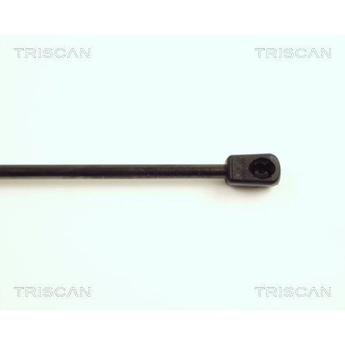 Gasfeder, Koffer-/Laderaum TRISCAN 8710 16230 f&uuml;r FORD