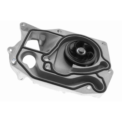 Wasserpumpe, Motork&uuml;hlung VAICO V20-50066 Original VAICO Qualit&auml;t f&uuml;r BMW MINI