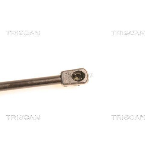 Gasfeder, Koffer-/Laderaum TRISCAN 8710 16237 f&uuml;r FORD, hinten links