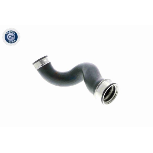 Ladeluftschlauch VAICO V10-2902 Q+, Erstausrüsterqualität für AUDI SEAT SKODA VW