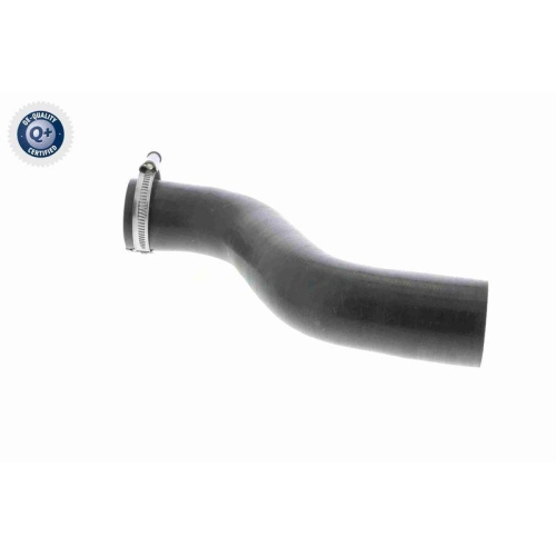 Ladeluftschlauch VAICO V46-0738 Q+, Erstausr&uuml;sterqualit&auml;t f&uuml;r RENAULT