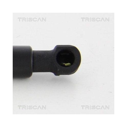Gasfeder, Koffer-/Laderaum TRISCAN 8710 292018 f&uuml;r VW