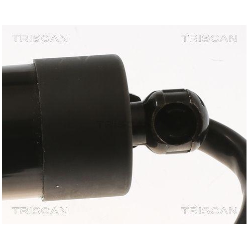 Gasfeder, Koffer-/Laderaum TRISCAN 8710 40301 für HONDA, hinten links
