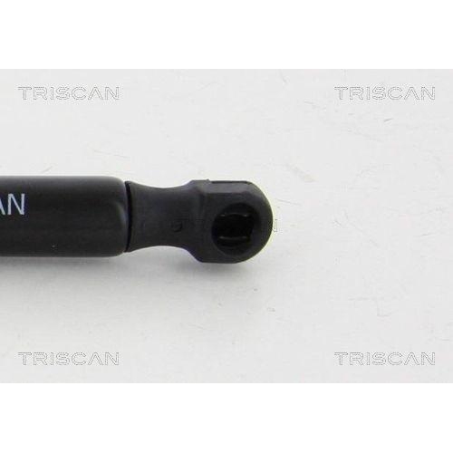 Gasfeder, Koffer-/Laderaum TRISCAN 8710 292020 f&uuml;r AUDI, hinten links