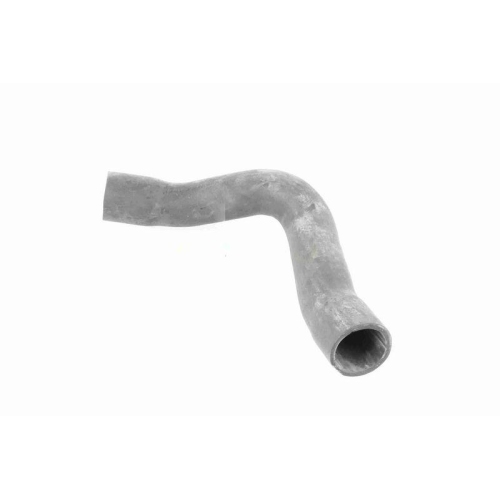 Ladeluftschlauch VAICO V10-2909 Q+, Erstausrüsterqualität für AUDI SEAT SKODA VW