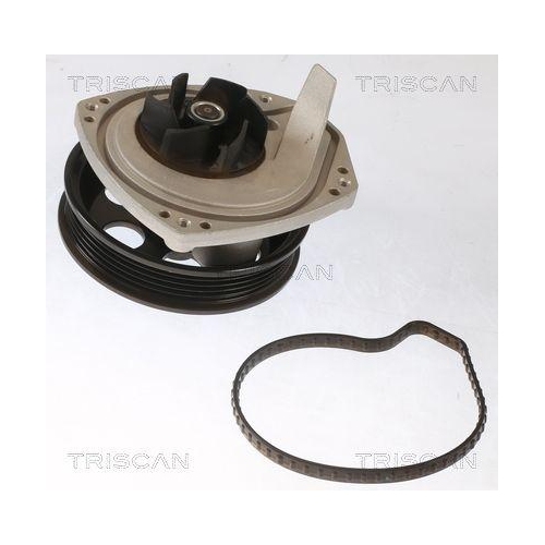 Wasserpumpe, Motorkühlung TRISCAN 8600 10087 für OPEL SAAB VAUXHALL CHEVROLET