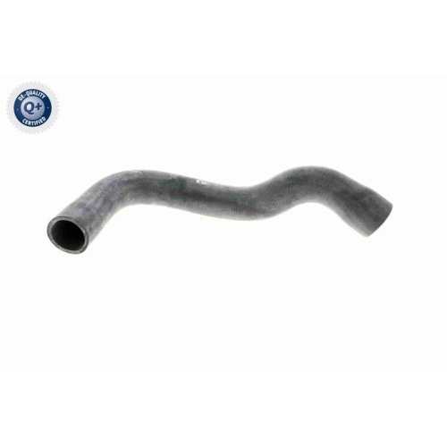 Kühlerschlauch VAICO V20-1242 Q+, Erstausrüsterqualität für BMW, unten