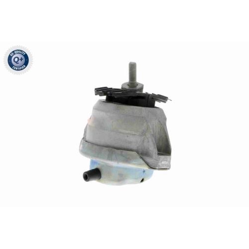Lagerung, Motor VAICO V20-0498 Q+, Erstausr&uuml;sterqualit&auml;t f&uuml;r BMW, vorne rechts